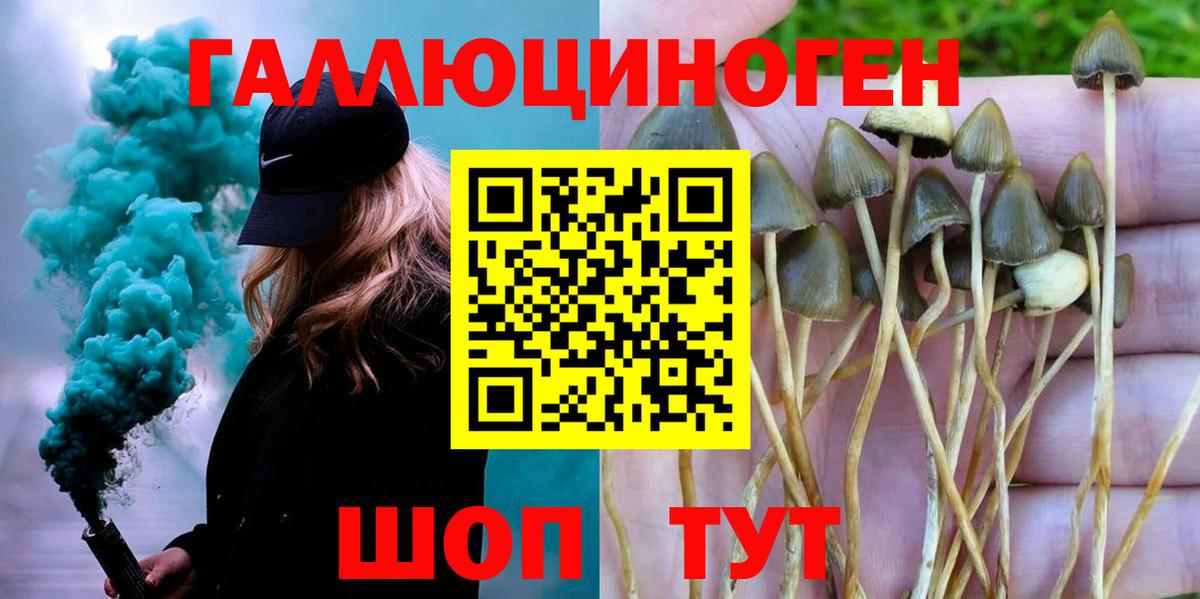 Родники  Псилоцибиновые грибы Psilocybe  Вход с VPN 